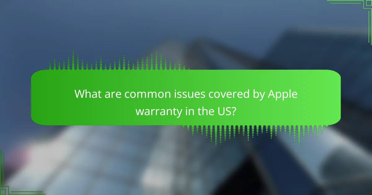 What are common issues covered by Apple warranty in the US?
